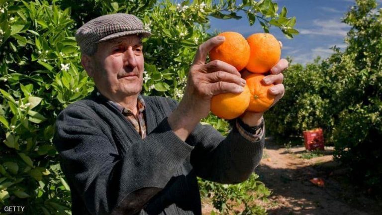 8 فيتامينات ومعادن “تحصن” جهازك المناعي