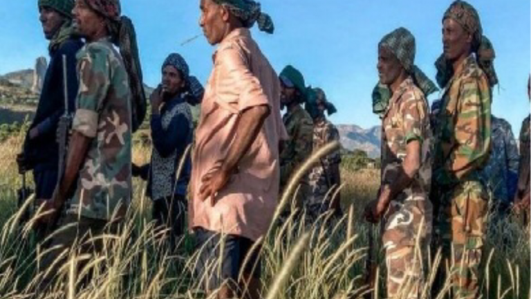 الصراع في تيجراي: شهادات من سكان ترد لأول مرة وسط التعتيم الإعلامي