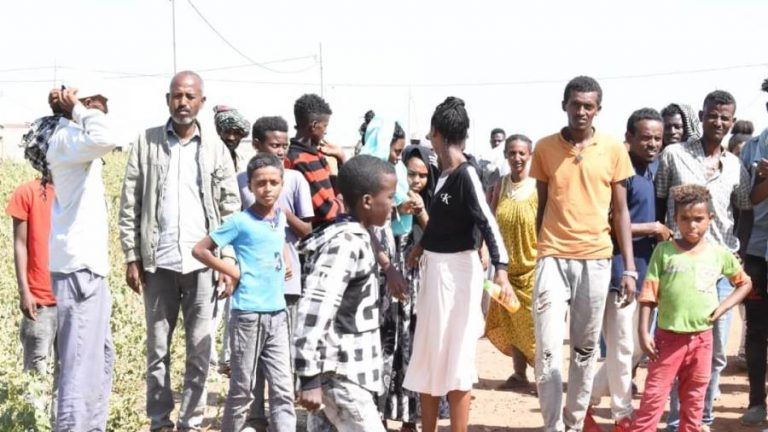 عاجل.. تقرير يكشف ازدياد عدد دخول اللاجئيين الاثيوبيين للبلاد