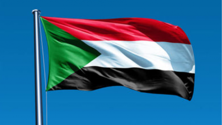 وزيرا الداخلية والدفاع يؤكدان الجاهزية لحماية المدنيين بدارفور