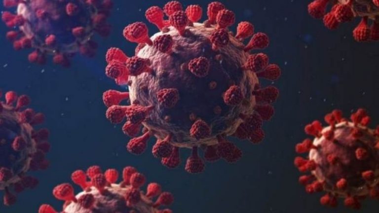 تركيا تسجل 15,197 إصابة و257 وفاة بكورونا خلال يوم واحد