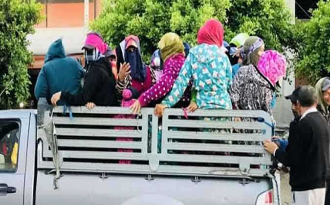 وزارة النقل : قدمنا مبادرات لحل مشكل نقل العاملات و لكن