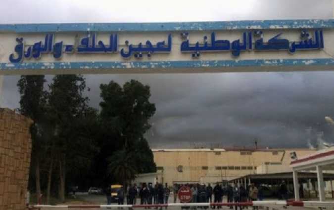 وزارة الصناعة تنفي أيّ نية للتفويت في الشركة الوطنية لعجين الحلفاء والورق