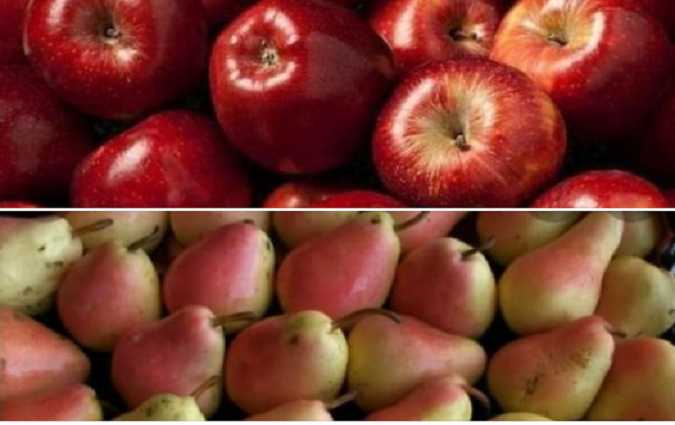 وزارة التجارة تجنّد أعوانها والأمن والديوانة لحجز 12 كغ من الاجاص