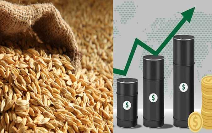 وزيرة الطاقة :الحرب الأوكرانية الروسية أثرت على ميزانية الدولة بحوالي 4 مليار دينار