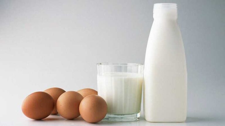 وزير الفلاحة :  سيقعُ الترفيع في سعر البيض والحليب