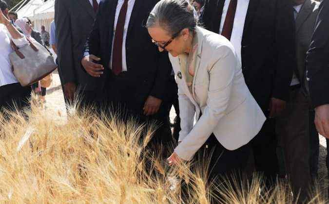 نجلاء بودن تعلن عن انطلاق موسم الحصاد