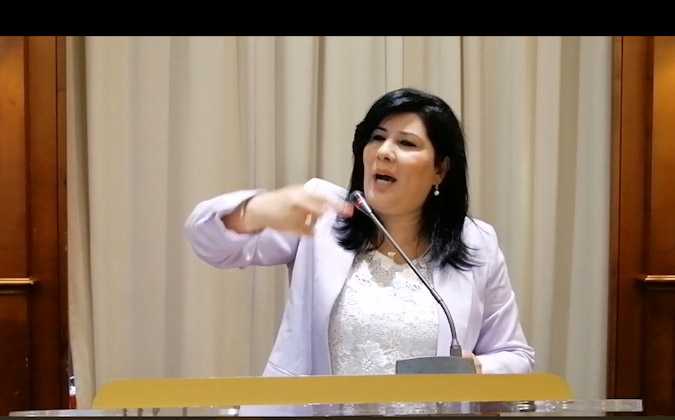 عبير موسي : تونس تحولت إلى مزرعة تدار بأوامر خليفة