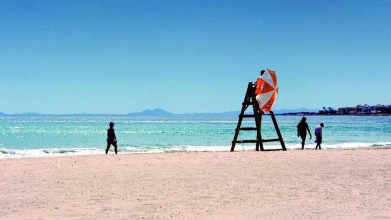 نابل – منع اصطحاب الحيوانات الى الشاطئ  وخطية تنتظر المخالفين