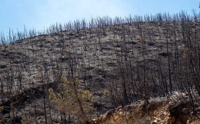 المساحة المحروقة من جبل بوقرنين تقدر ب 533 هكتار