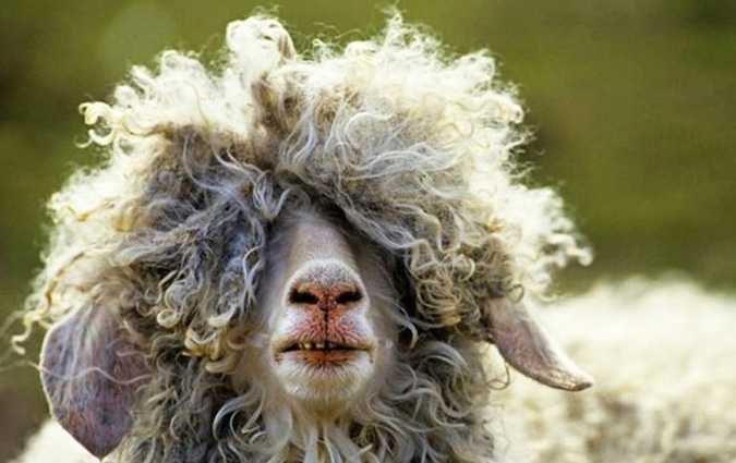 رئاسة الحكومة تعلن عن عطلة عيد الاضحى