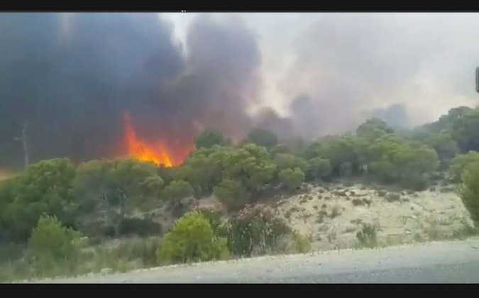 إلقاء القبض على أربعيني تورط في اضرام النار في منطقة غابية بولاية سليانة