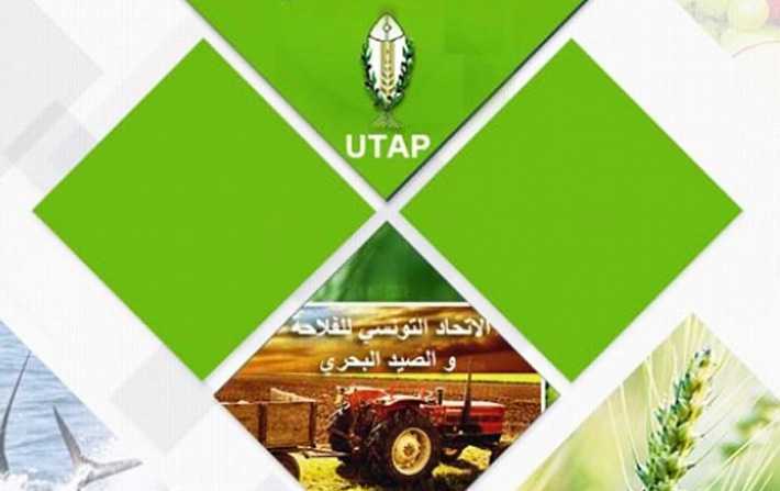 نائب رئيس اتحاد الفلاحين : ‘أعضاء من الحكومة يعملون ضد توجهات رئيس الجمهورية وضدّ خياراته ‘